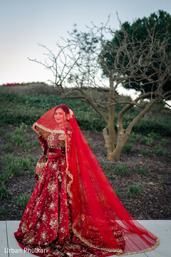 A Bride’s Timeless Elegance