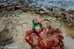 Colors of Love by the Sea Colors of Love by the Sea