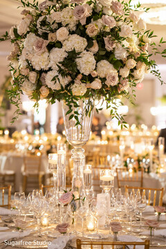 Elegance in Every Bloom and Glow