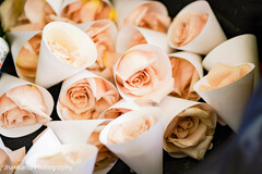 Delicate Details of Celebration Delicate Details of Celebration