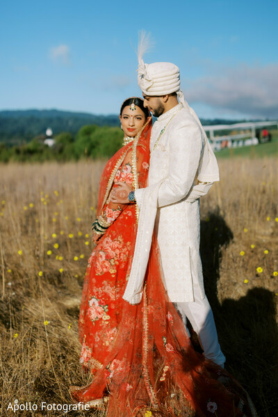 Golden Fields, Timeless Hearts