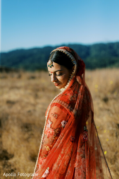 The Soft Glow of Tradition