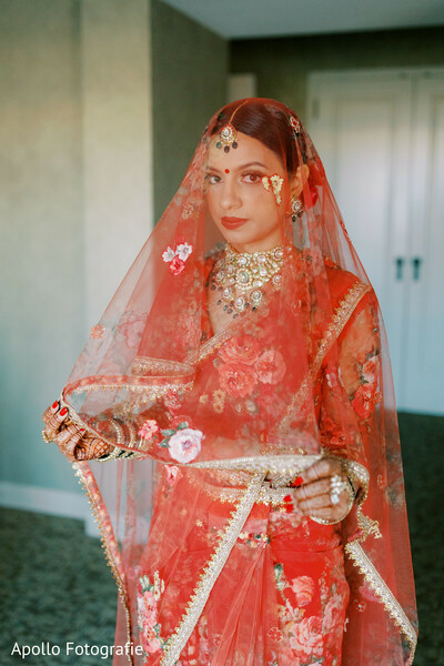 A Portrait of Radiance