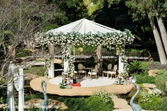 Vows Among the Vines Vows Among the Vines