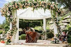 Throne of Petals