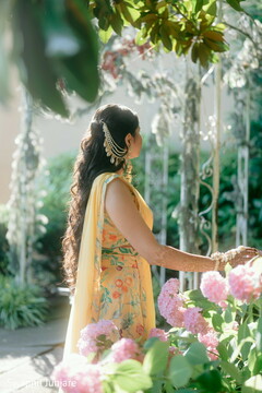 Yellow, Soft and Sacred Yellow, Soft and Sacred