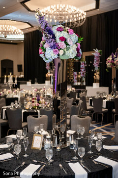 Blooms That Dazzle Blooms That Dazzle