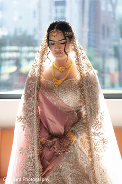 Elegance Draped in Gold Elegance Draped in Gold
