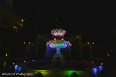 Water and Light in Bloom Water and Light in Bloom