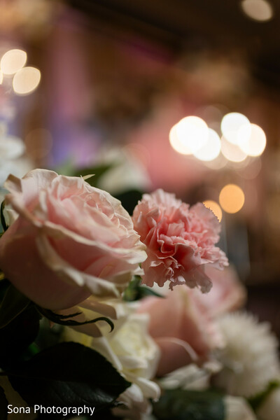 Petals in Candlelight