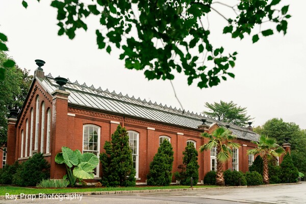 Serenity Before the Vows