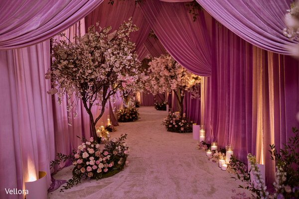 Aisle of Dreams
