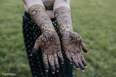 Henna Highlights Henna Highlights