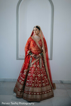 A Portrait in Stillness