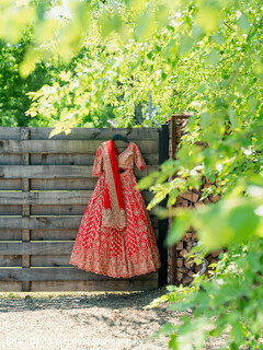 Lehenga in the Light Lehenga in the Light