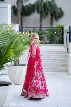 Pink Majesty Pink Majesty