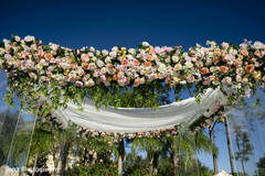Mandap in Bloom Mandap in Bloom