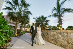 Palm-Lined Promenade