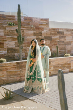 Desert Royalty Desert Royalty