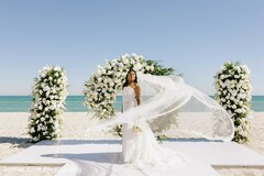Veil in the Wind, Love in the Air Veil in the Wind, Love in the Air