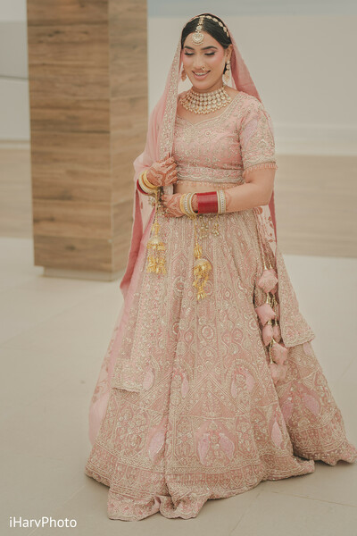 Poised in Pink: A Queen in Her Moment”