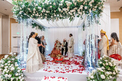 Under the Floral Canopy Under the Floral Canopy