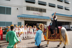 Royal Arrival Royal Arrival
