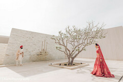 Under the Tree of Forever