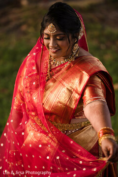 Saree Sparkle in Golden Light