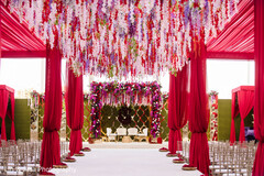 The Aisle of Dreams The Aisle of Dreams