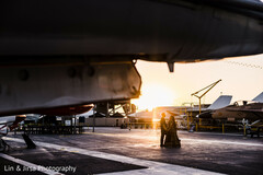 Under the Wing of Love