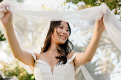 Pure Joy, Veiled in Beauty Pure Joy, Veiled in Beauty
