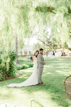 Love Under the Willows Love Under the Willows
