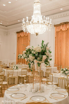 Where Elegance Dines Where Elegance Dines