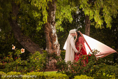 Under the Trees, With You Forever