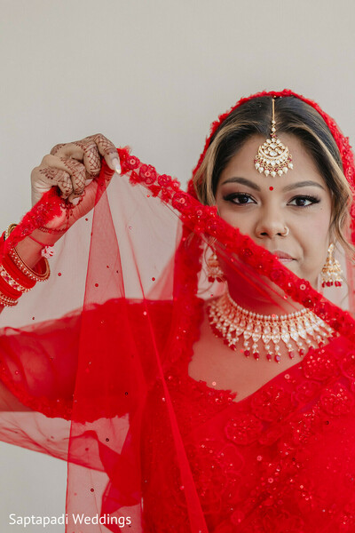 Scarlet Stare: Elegance in Every Detail