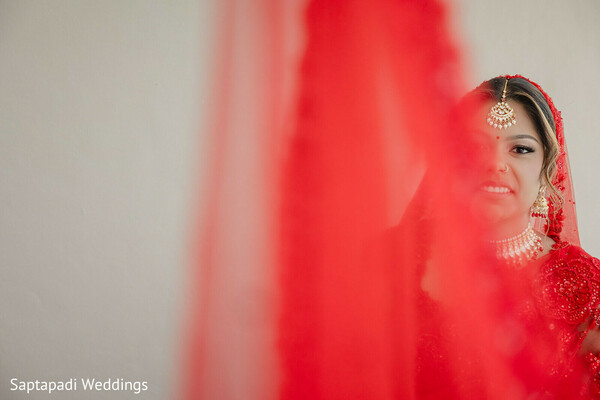 photo #433551