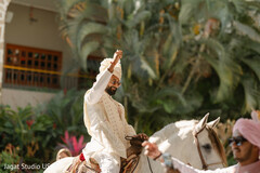 Silhouettes & Stallions: A Royal Entry