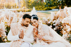 Whispers in the Sunlight