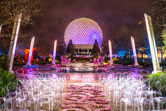Under a Sky of Violet Dreams