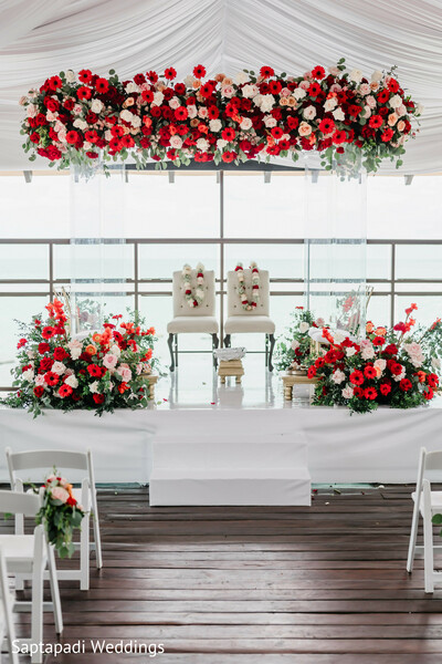 Under a Canopy of Blossoms