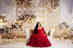 Elegance Draped in Crimson