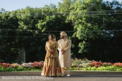 A Golden Moment in Bloom