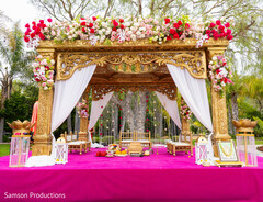 A Royal Mandap Moment