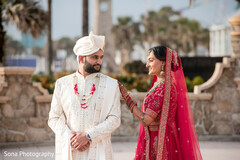 Crimson Love in Coastal Light