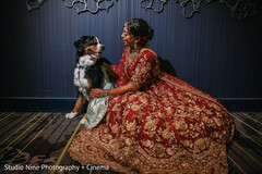 A Furry Companion on Her Big Day