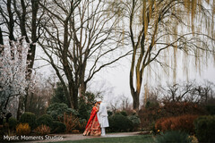 Love Among the Trees