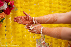 Henna in Bloom