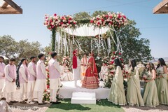 Where Love Blossoms in Full Color