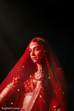 Veiled in Mystery and Elegance